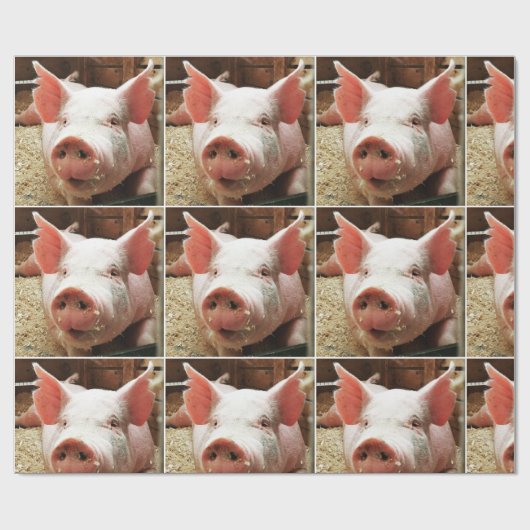 SCHWEINEPAPIER GESCHENKPAPIER (Flach)