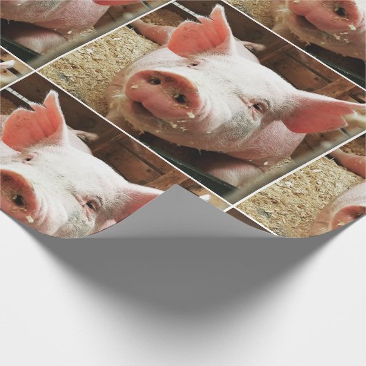 SCHWEINEPAPIER GESCHENKPAPIER (Ecke)