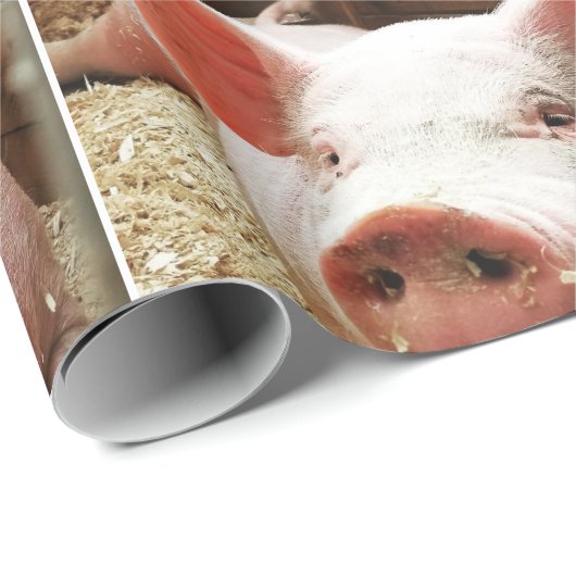 SCHWEINEPAPIER GESCHENKPAPIER (Rolleneckpunkt)