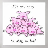 Schweinepest Poster (Vorne)