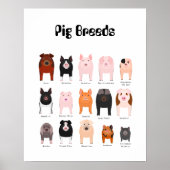Schweinepestern Poster (Vorne)