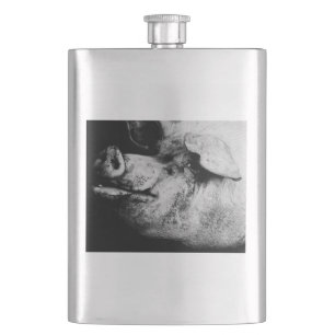 Schweineporträt Flachmann