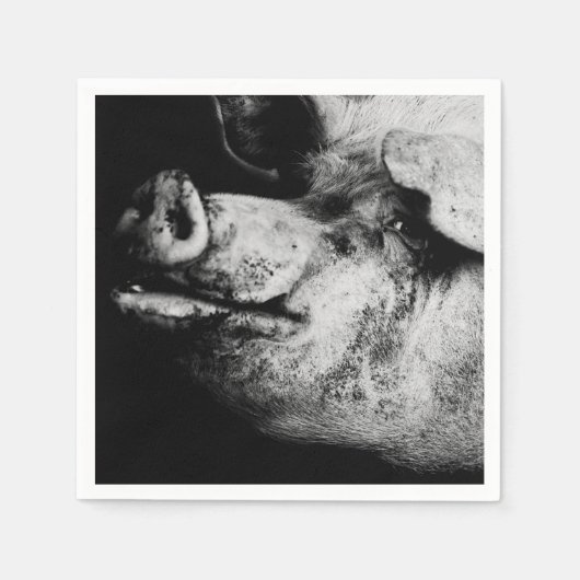 Schweineporträt Serviette (Vorderseite)