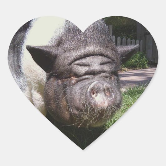 Schweineschrift Herz-Aufkleber (Vorderseite)