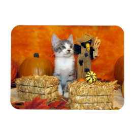 Schweineschuppe Adorable Fall / Herbstkatze / Kätz Magnet