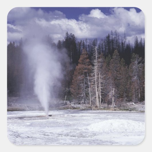 Schweineschwanz Geyser,Yellowstone Nationalpark Quadratischer Aufkleber (Vorderseite)