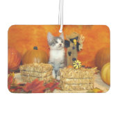 Schweineschwanz Niedlicher Katzenfall / Erntedank Autolufterfrischer (Rückseite)