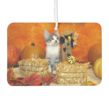 Schweineschwanz Niedlicher Katzenfall / Erntedank