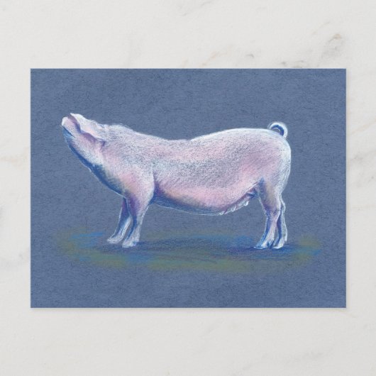 Schweineschweine, handgezeichnet, Postkarte (Vorderseite)