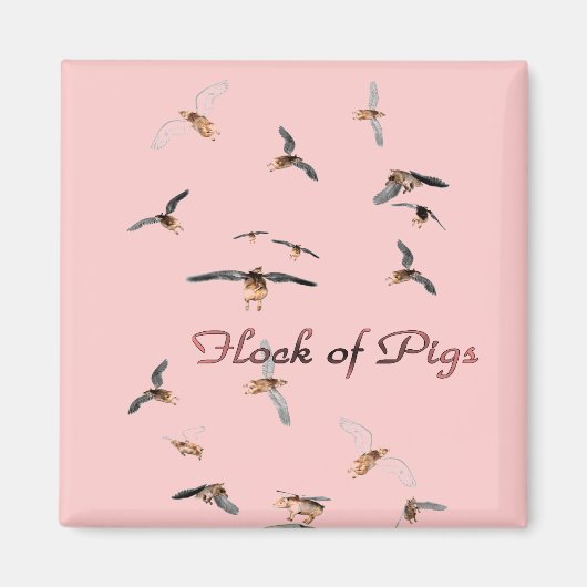 Schweinezucht Magnet (Vorne)