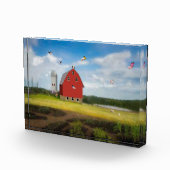 Schweinezuchtblock Foto (Rechts)