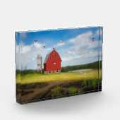 Schweinezuchtblock Foto (Links)