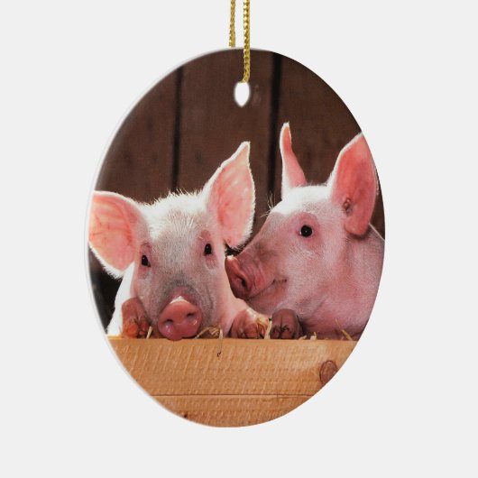 Schweinezuchtferkel Keramik Ornament (Rechts)