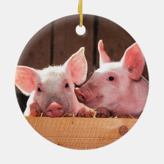 Schweinezuchtferkel Keramik Ornament (Hinten)