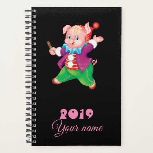 schweinig planer (Vorderseite)