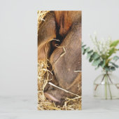 SCHWEINKARTE (Stehend Vorderseite)