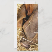 SCHWEINKARTE (Vorderseite)