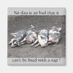 Schweinschlafen Magnet