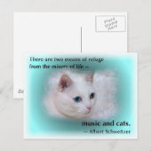 Schweitzer-Katze Postkarte (Vorne/Hinten)