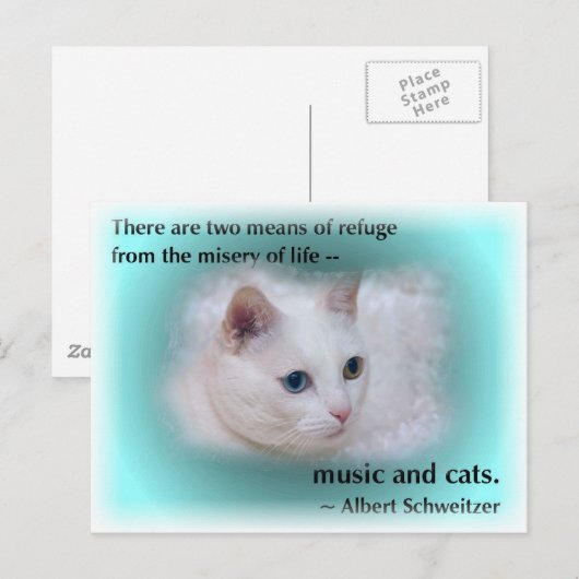 Schweitzer-Katze Postkarte (Vorne/Hinten)