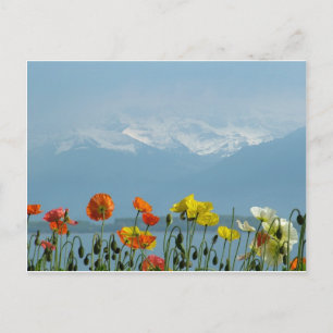 Schweiz-16800 Postkarte