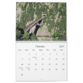 Schweiz auf geschlagenen Gleisen Kalender (Feb 2027)