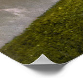 Schweiz (c. 1900) poster (Ecke)