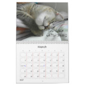 SCHWEIZ DES KATZKATZKALENS KALENDER (Mär 2027)