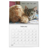 SCHWEIZ DES KATZKATZKALENS KALENDER (Feb 2027)