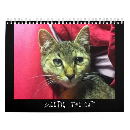 SCHWEIZ DES KATZKATZKALENS KALENDER (Titelbild)
