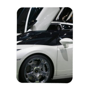 SCHWEIZ, GENF: 75. jährlicher Genfer Autosalon 9 Magnet
