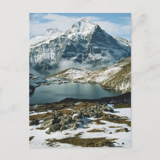 Schweiz, Grindelwald, Berner Alpen, Aussicht Postkarte (Vorderseite)