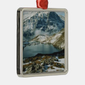 Schweiz, Grindelwald, Berner Alpen, Sicht Silbernes Ornament (Rechts)