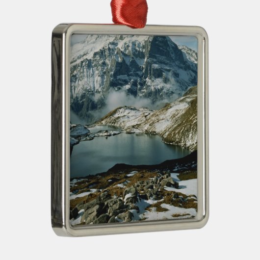 Schweiz, Grindelwald, Berner Alpen, Sicht Silbernes Ornament (Rechts)