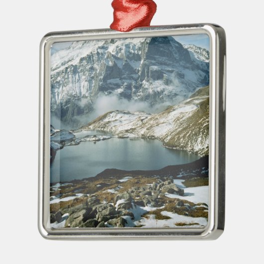 Schweiz, Grindelwald, Berner Alpen, Sicht Silbernes Ornament (Links)