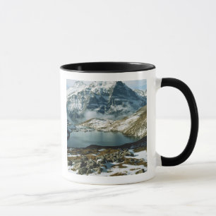 Schweiz, Grindelwald, Berner Alpen, Sicht Tasse