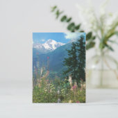 Schweiz, Jungfrau Region im Frühjahr Postkarte (Stehend Vorderseite)