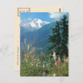 Schweiz, Jungfrau Region im Frühjahr Postkarte (Vorne/Hinten)