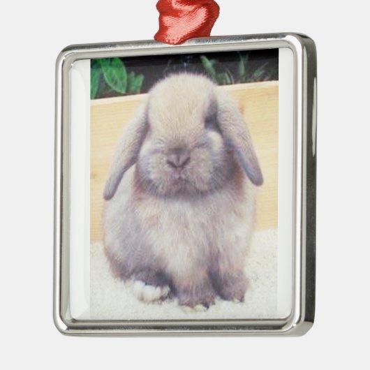 ****SCHWEIZ/NIEDLICHE BUNNY**** ORNATION ORNAMENT AUS METALL (Links)