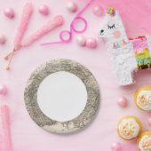 Schweiz Pappteller (Party)