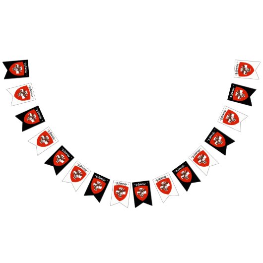 Schweiz Party Bunting Banner (Alle)