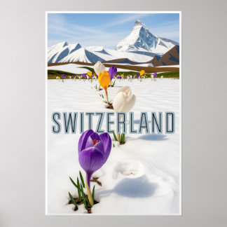 Schweiz Poster