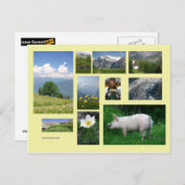 Schweiz Postkarte (Vorne/Hinten)