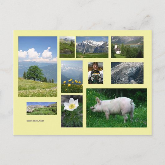 Schweiz Postkarte (Vorderseite)