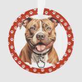 SCHWEIZ RECHTS - Siehe Zurück ... Keramik-Ornament Ornament (Vorderseite)