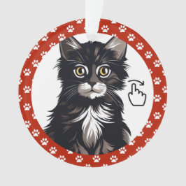 SCHWEIZ RECHTS - Siehe Zurück ... Keramik-Ornament Ornament