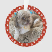 SCHWEIZ RECHTS - Siehe Zurück ... Ornament (Vorderseite)