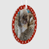 SCHWEIZ RECHTS - Siehe Zurück ... Ornament (Vorderseite)