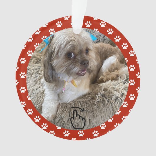 SCHWEIZ RECHTS - Siehe Zurück ... Ornament (Vorderseite)