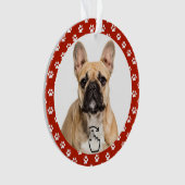 SCHWEIZ RECHTS - Siehe Zurück ... Ornament (Vorderseite)